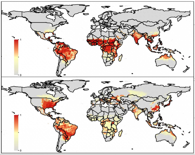 A Unique Approach To Predicting The Future Spread Of Aedes Break Dengue